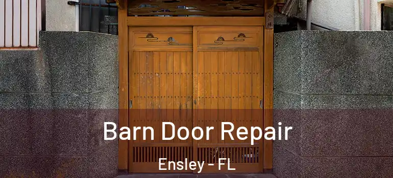  Barn Door Repair Ensley - FL