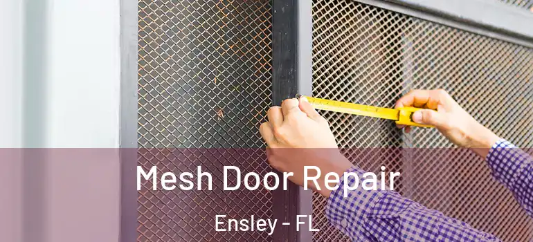 Mesh Door Repair Ensley - FL