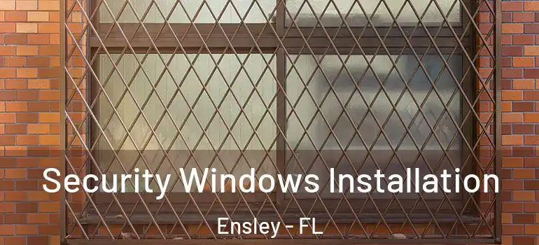 Security Windows Installation Ensley - FL