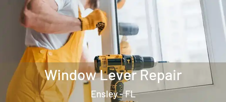  Window Lever Repair Ensley - FL